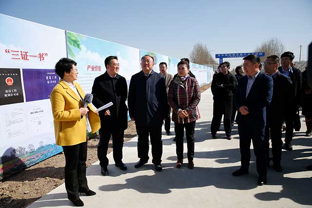 _MG_3971.jpg _MG_3971.jpg