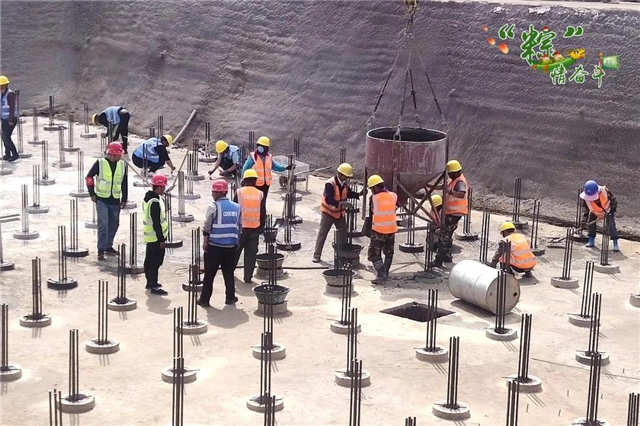 國際汽車城青年人才服務園項目.jpg 國際汽車城青年人才服務園項目.jpg